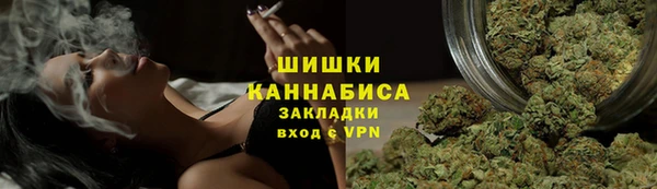 PSILOCYBIN Зерноград